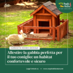 Allestire la gabbia perfetta per il tuo coniglio: un habitat confortevole e sicuro