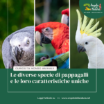 Le diverse specie di pappagalli e le loro caratteristiche uniche