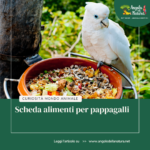 Scheda degli alimenti per Pappagalli