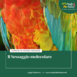 IL SESSAGGIO MOLECOLARE