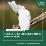 Cacatua Alba: Un Gioiello Bianco dall’Indonesia