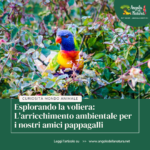 Esplorando la voliera: L’arricchimento ambientale per i nostri amici pappagalli 